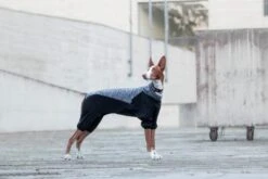 RUKKA - Subrima Knit Dog Overall Coat - Black -Pet dog 774074