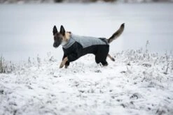 RUKKA - Subrima Knit Dog Overall Coat - Black -Pet dog 774075