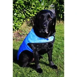 Vital Prestige - Cool Dog Cooling Vest Coat Blue 10 Vital Prestige - Cool Dog Cooling Vest Coat Blue -Pet dog 8153r9kop l. ac ss450