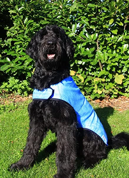 Vital Prestige - Cool Dog Cooling Vest Coat Blue 4 Vital Prestige - Cool Dog Cooling Vest Coat Blue - Image 2