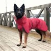 RUKKA Windy Jacket Coral Red -Pet dog 831384