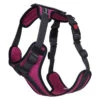 RUKKA Star Harness Pink -Pet dog 832341