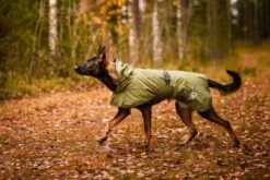 RUKKA - Sky Raincoat For Dogs 12 RUKKA - Sky Raincoat For Dogs -Pet dog 914192