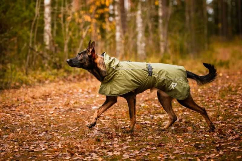 RUKKA - Sky Raincoat For Dogs 6 RUKKA - Sky Raincoat For Dogs - Image 4