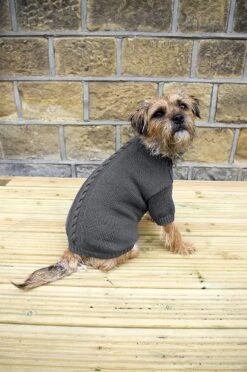 Banbury & Co - Knitted Dog Jumper - Grey -Pet dog 91f6kmKjueL. AC SL1500