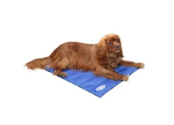 Scruffs - Dog Cooling Mat - Blue -Pet dog 934606 l1 small