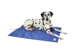 Scruffs - Dog Cooling Mat - Blue -Pet dog 934613 l1 small