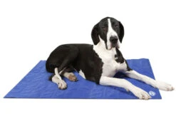 Scruffs - Dog Cooling Mat - Blue -Pet dog 934620 l1 small