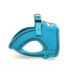 Doodlebone - Originals Snappy Dog Harness -Pet dog Aqua