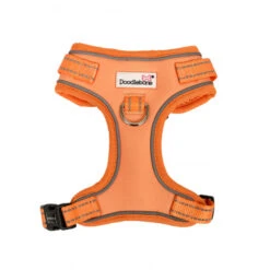 Doodlebone Adjustable Airmesh Dog Harness -Pet dog EQg89iQEqASBqdoEqhLUH3wDFvFuzpZvh1NBnVoT