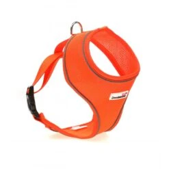 Doodlebone - Originals Airmesh Dog Harness -Pet dog EVQwYUwEo7fUcPr2iLnzbnRWsEY2YBRKr83Dp6vR