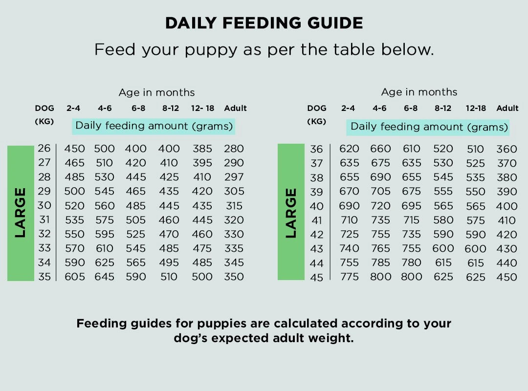 The Innocent Hound - Gourmet British Duck Air-Dried Dog Food 3kg 4 The Innocent Hound - Gourmet British Duck Air-Dried Dog Food 3kg - Image 2