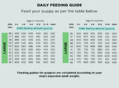 The Innocent Hound - Gourmet Chicken Hotpot Air-Dried Dog Food 3kg 6 The Innocent Hound - Gourmet Chicken Hotpot Air-Dried Dog Food 3kg -Pet dog FeedingCalculator Puppy Large 1024x1024 2x 7e351407 d99a 42d5 b96e 786520788460