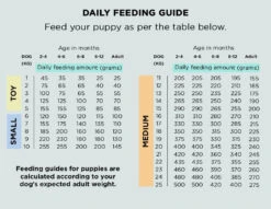 The Innocent Hound - Gourmet British Duck Air-Dried Dog Food 3kg 7 The Innocent Hound - Gourmet British Duck Air-Dried Dog Food 3kg -Pet dog FeedingCalculator Puppy ToyMed 1024x1024 2x 242e8214 bccb 4b0c 8123 5f039d705cd9