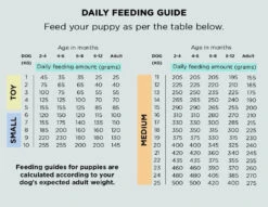 The Innocent Hound - Wild Salmon Fishcakes Air-Dried Dog Food 3kg 7 The Innocent Hound - Wild Salmon Fishcakes Air-Dried Dog Food 3kg -Pet dog FeedingCalculator Puppy ToyMed 1024x1024 2x 758a9fb7 f07f 4c11 911a ebbe0d81fddb