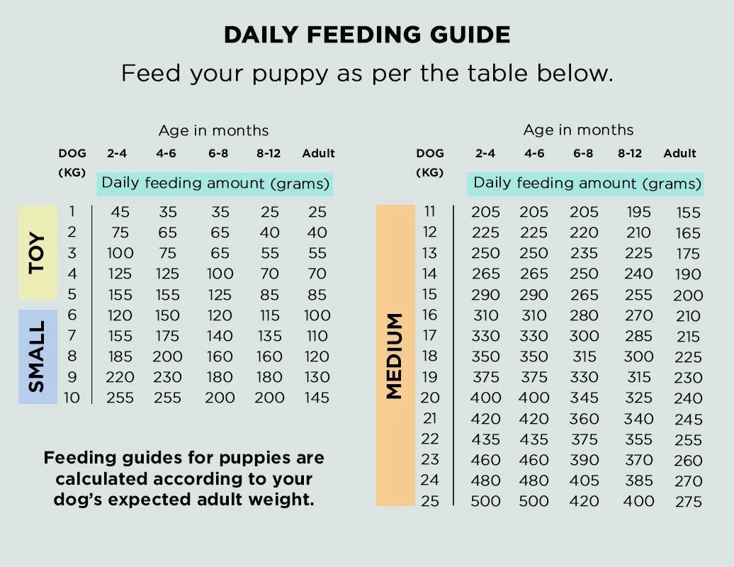 The Innocent Hound - Wild Salmon Fishcakes Air-Dried Dog Food 3kg 5 The Innocent Hound - Wild Salmon Fishcakes Air-Dried Dog Food 3kg - Image 3