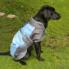 Henry Wag - Waterproof Dog Coat -Pet dog HenryWag