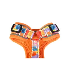 Doodlebone Adjustable Airmesh Dog Harness -Pet dog InPAGQ6OgyVTrIg8hS5XVxpKINCYyFMsshaB9opR