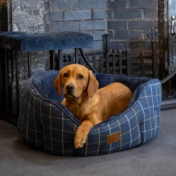House Of Paws - Navy Tweed Oval Dog Bed -Pet dog NavyTweedLifestyle 740x 2595948b efc0 4228 bcab 1eac581c28fc
