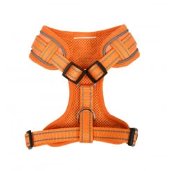Doodlebone Adjustable Airmesh Dog Harness -Pet dog NdpRsJNttqkAiWLyLcf0HZ3wMGNyjpofh4ryc3dr