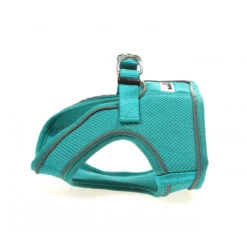 Doodlebone - Originals Snappy Dog Harness -Pet dog Peacock