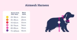 Doodlebone - Originals Airmesh Dog Harness -Pet dog Screenshot2021 10 19at09.01.19