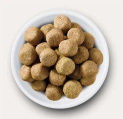 Nature's Variety - Complete Freeze Dried Dog Food Multi Pack - 6x120g -Pet dog Screenshot2022 02 27at17.45.08