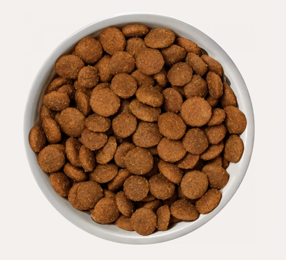 Nature's Variety - Selected Dry Norwegian Salmon - Adult Dog Food 2kg 5 Nature's Variety - Selected Dry Norwegian Salmon - Adult Dog Food 2kg - Image 3