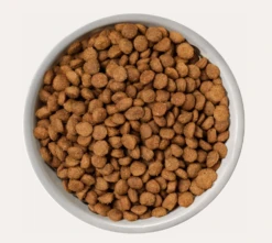 Nature's Variety - Selected Dry Norwegian Salmon - Small Breed Dogs - 1.5kg 7 Nature's Variety - Selected Dry Norwegian Salmon - Small Breed Dogs - 1.5kg -Pet dog Screenshot2022 02 27at21.10.52