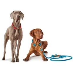 Hunter - Rope Collar Oss – Red -Pet dog aaoss33