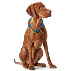 Hunter - Rope Collar Oss – Teal -Pet dog aaoss43