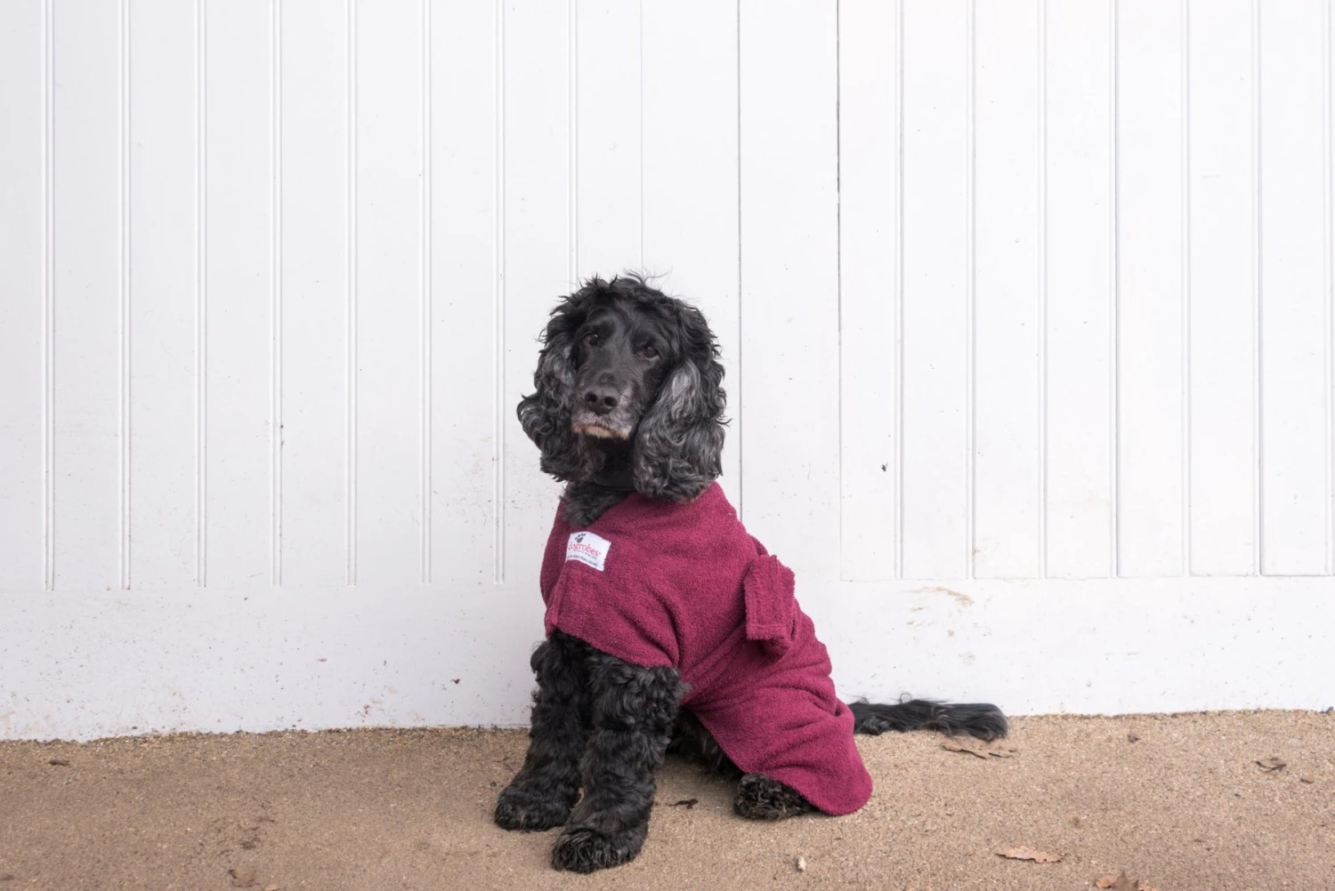 Dogrobes - Dog Robe Drying Coat - Burgundy 5 Dogrobes - Dog Robe Drying Coat - Burgundy - Image 3