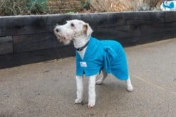 Dogrobes - Dog Robe Drying Coat - Teal -Pet dog acf8144highres