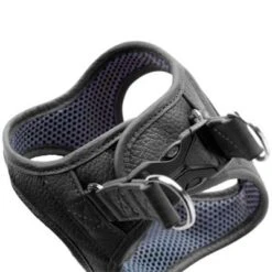 Hunter Hilo Leather Harness – Black -Pet dog ahilol4