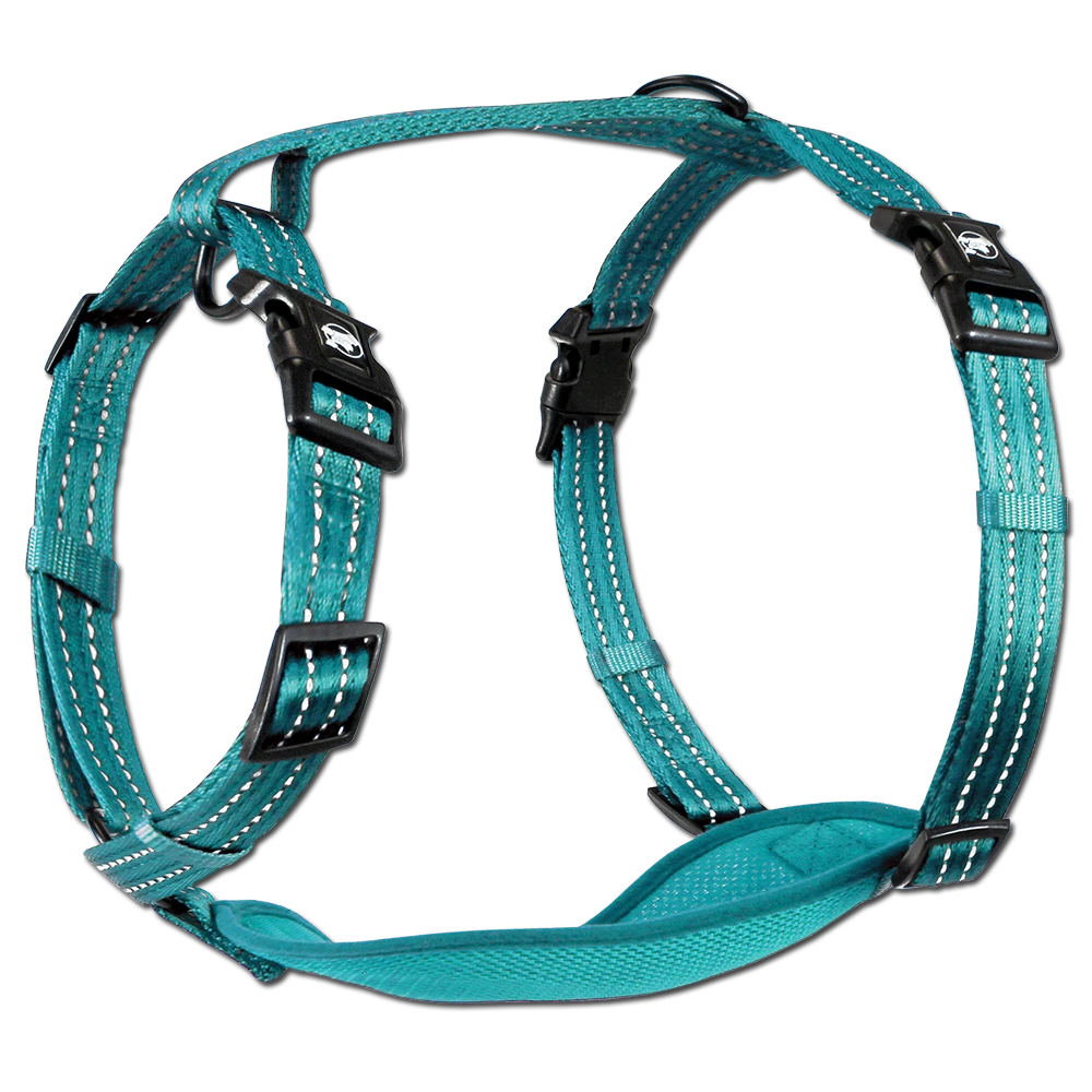 Alcott - Adventure Harnesses 11 Alcott - Adventure Harnesses - Image 9