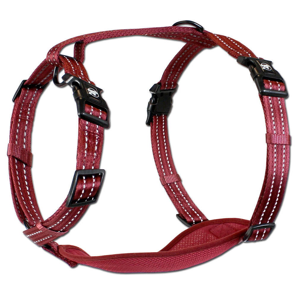Alcott - Adventure Harnesses 15 Alcott - Adventure Harnesses - Image 13