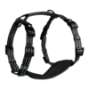 Alcott - Adventure Harnesses -Pet dog alcott adventure harness medium black 1024x1024 1