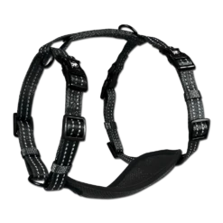 Alcott - Adventure Harnesses