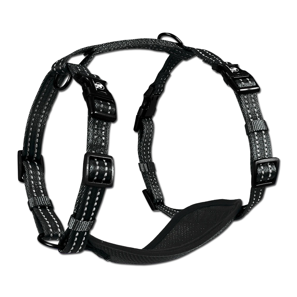 Alcott - Adventure Harnesses 3 Alcott - Adventure Harnesses