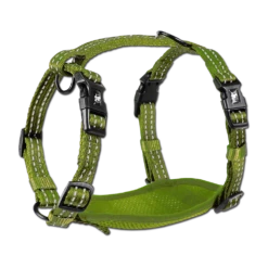 Alcott - Adventure Harnesses 18 Alcott - Adventure Harnesses -Pet dog alcott adventure harness small green 1024x1024 3