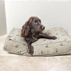 Sophie Allport Pheasant Pet Mattress -Pet dog all19750m pheasant small pet mattress lifestyle web 1080x e04cc8f2 ac36 419a 8363 a5b8fe76a48d