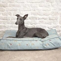 Sophie Allport Speedy Dogs Pet Mattress -Pet dog all58755m speedy dogs medium pet mattress lifestyle web f3588bcc 29da 4474 804d 6394d31aac0e 1080x 1