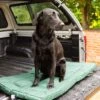 House Of Paws - Water Resistant Crate Mat - Green -Pet dog be5u2011