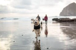 Ruffwear - Fernie Fleece Jacket Twilight Gray -Pet dog beach