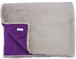 Doodlebone Dog Blanket -Pet dog beige dog blanket cutout 2 1 1