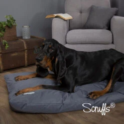 Scruffs - Expedition Orthopaedic Pillow Dog Bed -Pet dog blue expedition mattress ls3 2