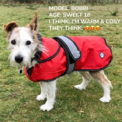 Danish Design - Orange 2-in-1 Ultimate Dog Coat -Pet dog bobbi louise maw