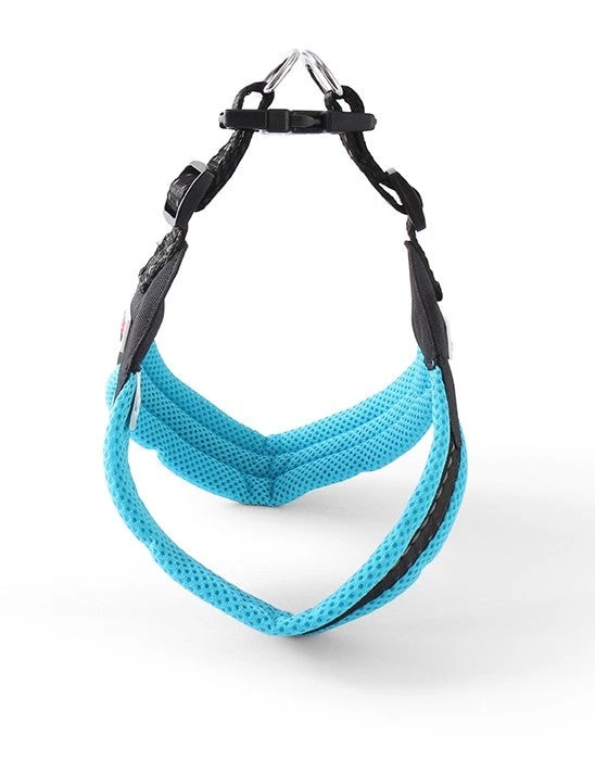 Doodlebone Boomerang Dog Harness - Cyan 4 Doodlebone Boomerang Dog Harness - Cyan - Image 2
