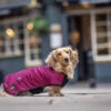 Country & Twee Dachshund Underbelly Coat - Burgundy -Pet dog burgundy 3 2048x 5398c419 32c7 42dc 8029 e47a9753f7f3