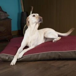 Scruffs - Hilton Memory Foam Orthopaedic Dog Mattress - Red -Pet dog burgundy hilton 2 grande d8180397 fd12 43a4 8945 34da10636300